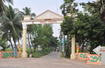 smart village