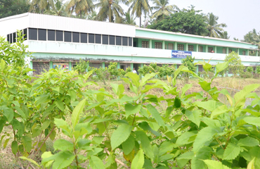 smart village